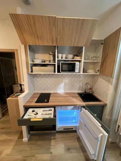 L Ecrin Nantais Apartment น็องต์ ภายนอก รูปภาพ